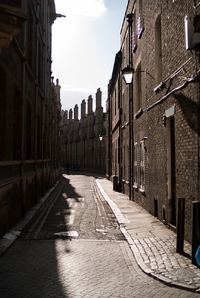 Ed -L1006698.jpg